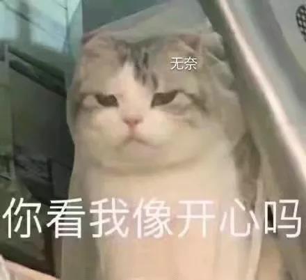 启航考研