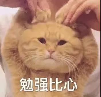 启航考研