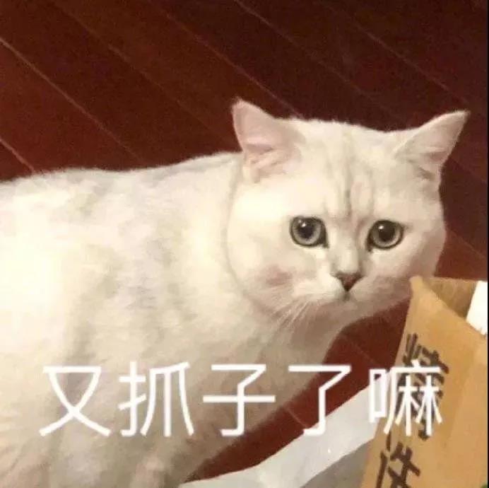启航考研