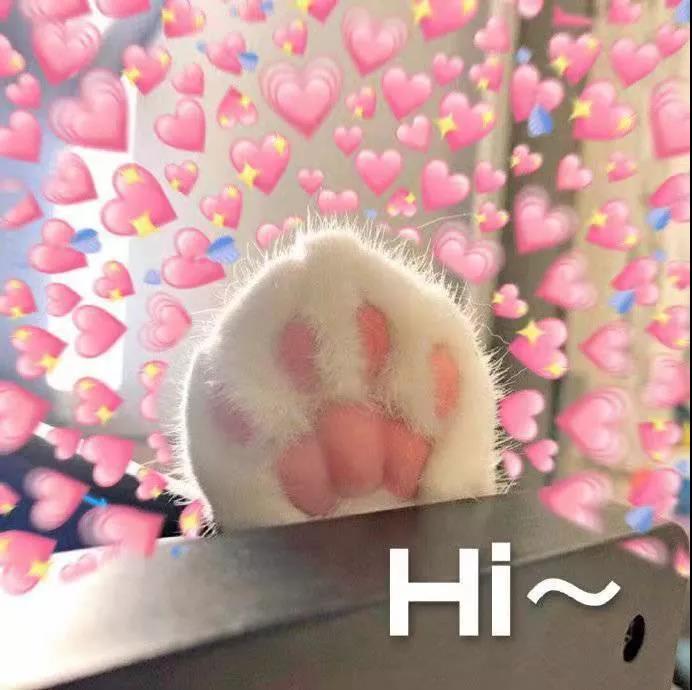 启航考研
